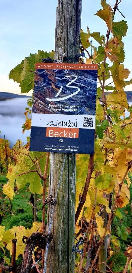 Weingut U. Gaestehaus Becker Platten 外观 照片