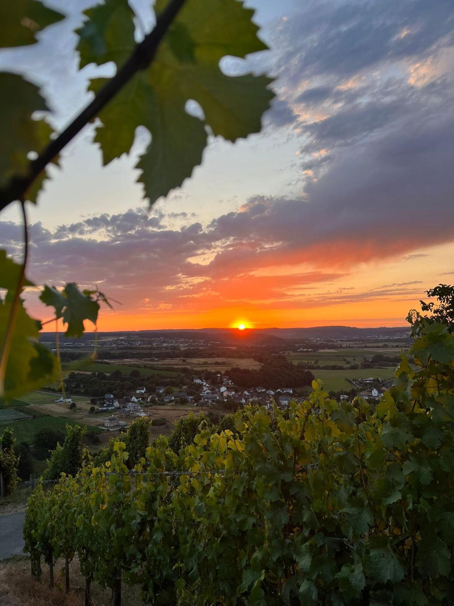 Weingut U. Gaestehaus Becker Platten 外观 照片